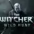 The Witcher Wilder Hunt 3